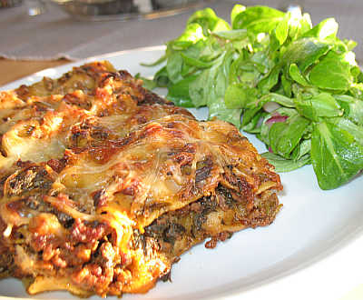 IMG_5340_Brennessel-Hack-Lasagne.jpg