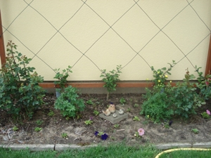 DSC05455-1.JPG