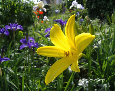 Imgp9579.jpg