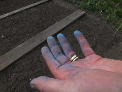 blaukorn-zg.jpg