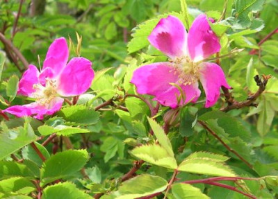 DSCN0173.JPG