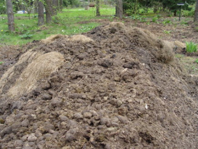 DSC21.jpg