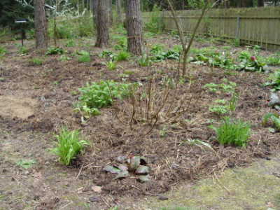 DSC22.jpg