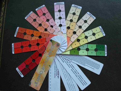 7._Clivia_Colour_Chart_II.jpg