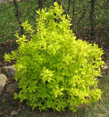 120414_06a.jpg