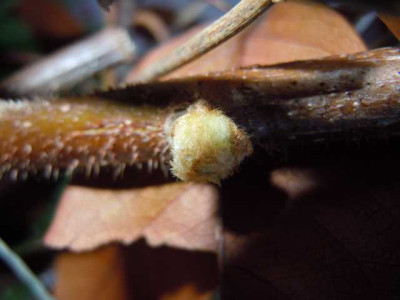 19._april_2012_054.JPG