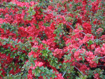 19._april_2012_027.JPG