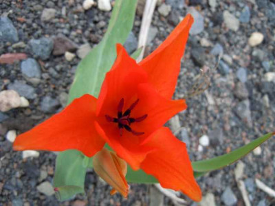 19._april_2012_010.JPG