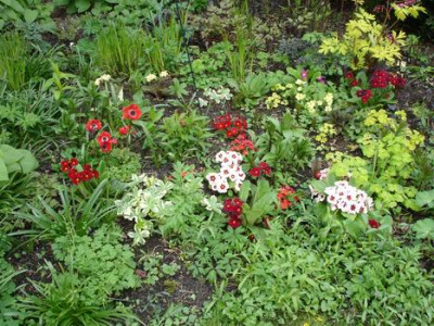 Groenanderung_Marz_April_2012_046.jpg