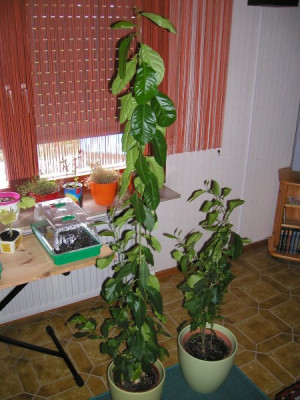 3_24.04.2012_3K.jpg