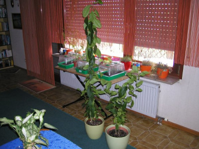 4_24.04.2012_4K.jpg