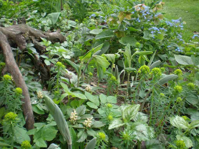 GP_Fruehling_2012e.jpg
