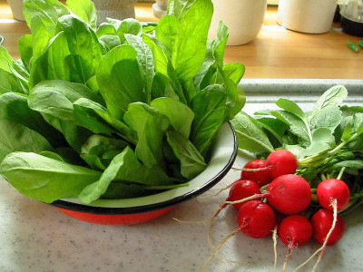 Ernte_25.04.12.jpg