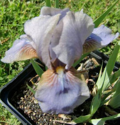 003.8.1.13.JPG