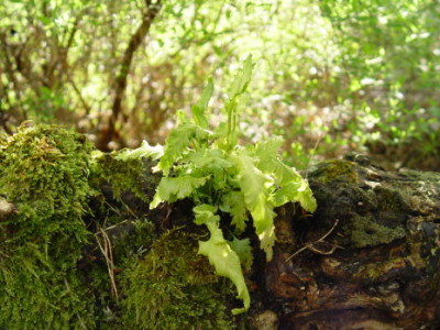 DSC0000024.jpg