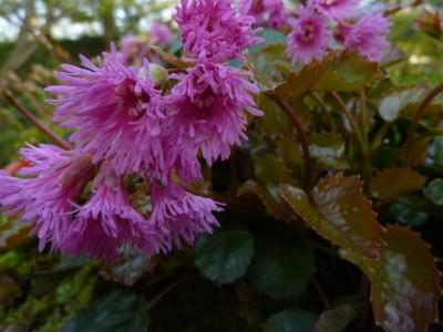 P1020111.JPG