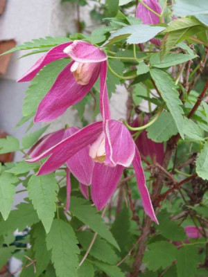 120427_18a.jpg