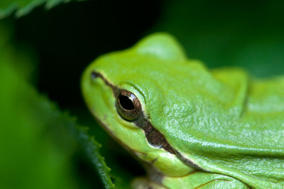 aDSC_7202.jpg