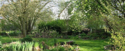 Ansicht_2._Gartenpur.jpg