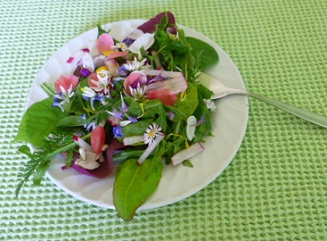 Bluetensalat2.jpg