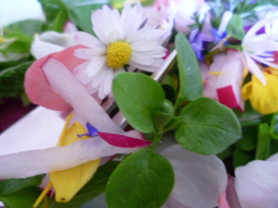 Unkrautsalat_Gabel.jpg