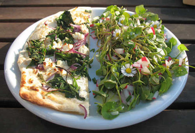 IMG_5446_Flammkuchen_mit_Melde_und_schafskase.jpg