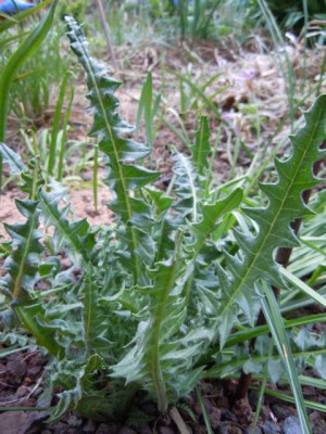 300512_032.JPG