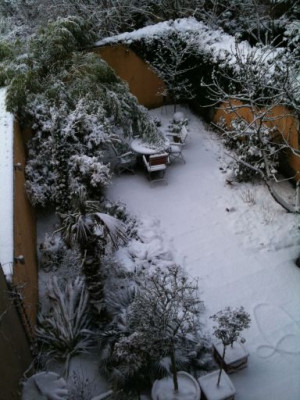 Bild_0024.jpg