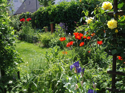 Imgp9850-Garten.jpg