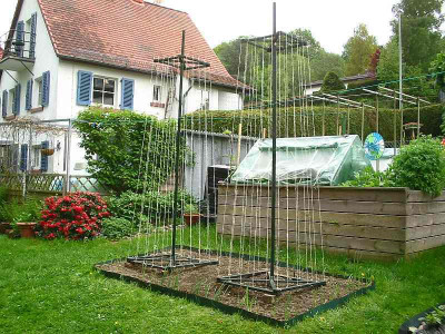 Sonneberger_Bohnengestell_Nachbau.jpg