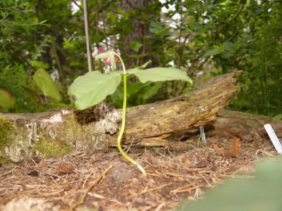 DSC00006.jpg