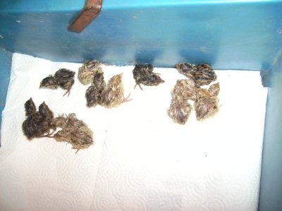BILD0048.JPG