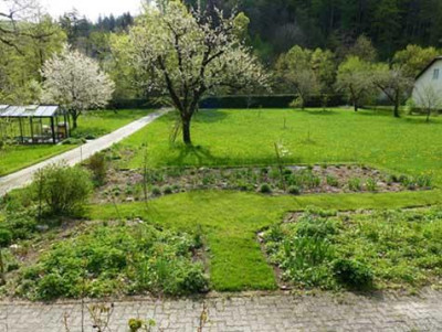 kirschen_29-04.jpg