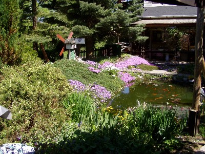 Gartenteich_ok.JPG