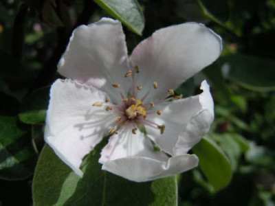 08.05.12_024.JPG