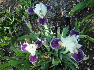 k-DSC03071.JPG