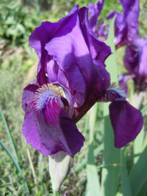 08.05.12_006.JPG