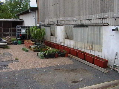 IMGA1197_2.jpg