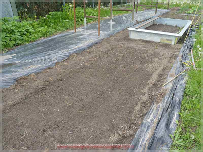 garten2_02.JPG