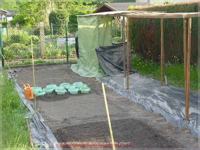 garten2_12.JPG