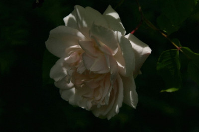 Carriere-Mai-1.jpg