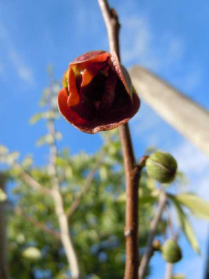 100512_006.JPG