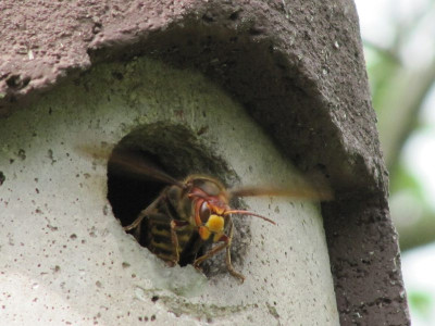 Fehlbelegung_120511.jpg