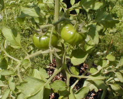PIC000021.jpg