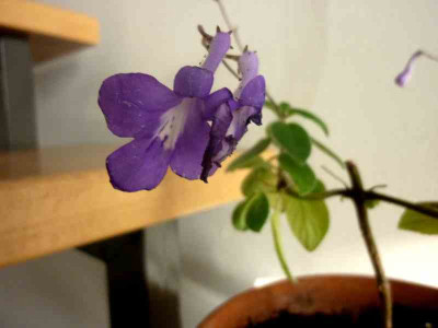 P1020048.jpg