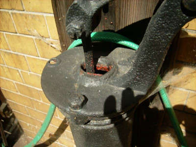 Blaumeisen_14052012.jpg