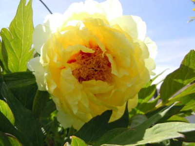 einkaufe_rarbo_wu_130512_005.JPG