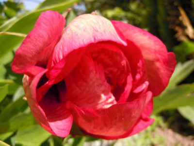 einkaufe_rarbo_wu_130512_008.JPG
