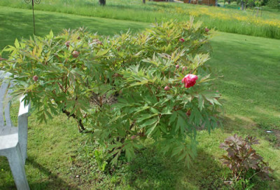 Renown_1_12__90077.jpg