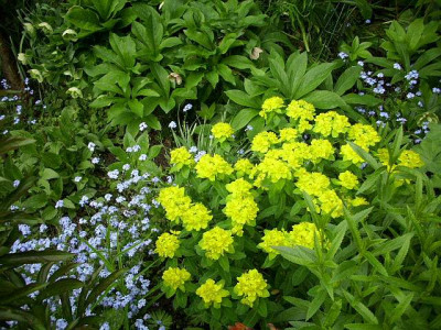 0012_spring_2.jpg